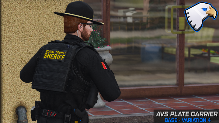 Support de plaque Crye AVS