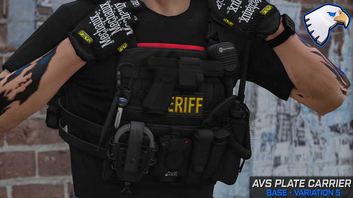 Support de plaque Crye AVS