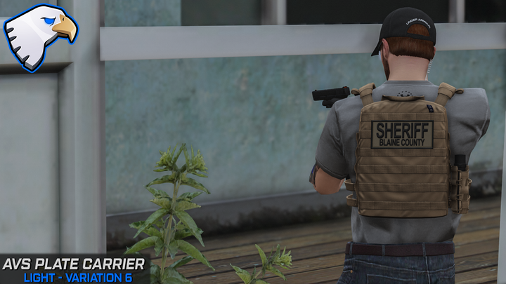 Support de plaque Crye AVS