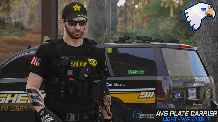 Support de plaque Crye AVS
