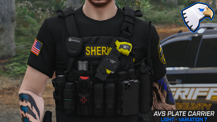 Support de plaque Crye AVS