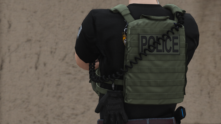 Support de plaque Crye AVS