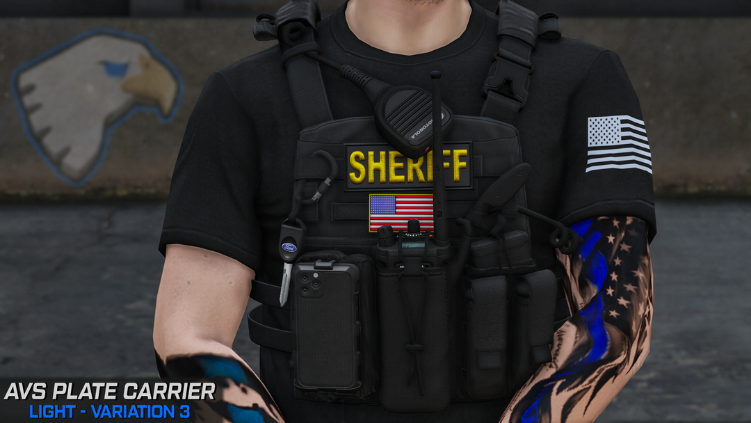 Support de plaque Crye AVS