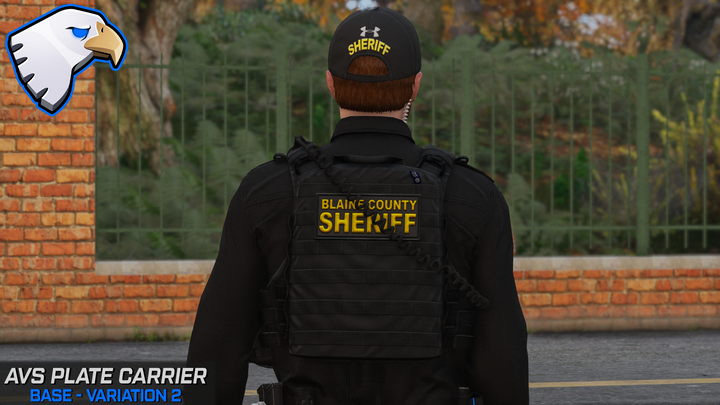 Support de plaque Crye AVS