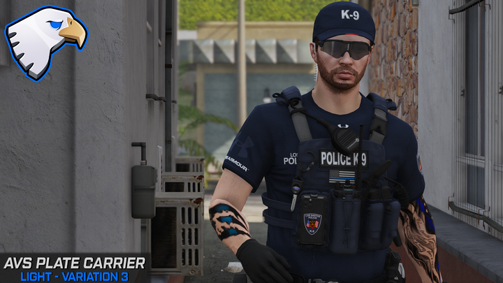 Support de plaque Crye AVS