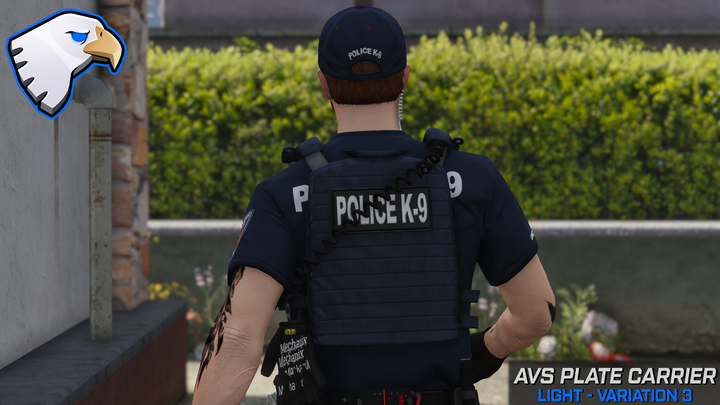 Support de plaque Crye AVS